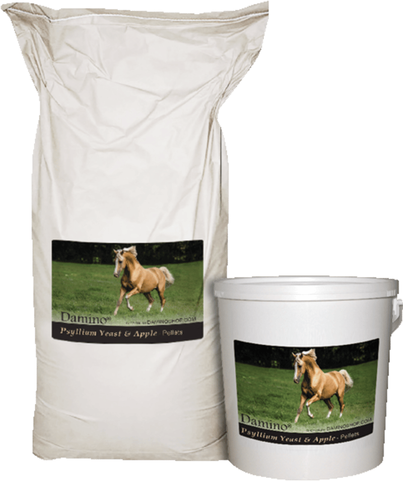 Damino Psyllium Yeast & Apple 3 kg