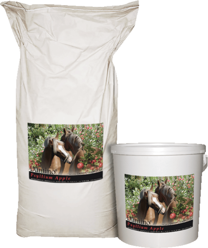 Damino Psyllium Apple 3 kg