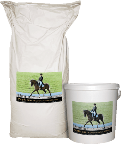 1 stk. Damino Psyllium 4 kg