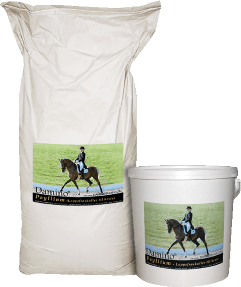 Damino Psyllium 4 kg