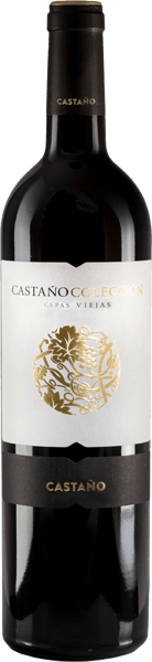 Modelbillede af Castaño Coleccion 0,75l