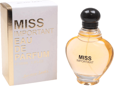 Modelbillede af Miss Important EdP 100 ml   