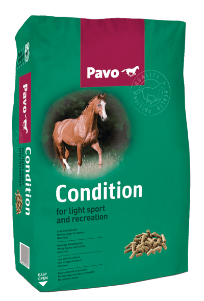Modelbillede af Pavo Condition 20 kg
