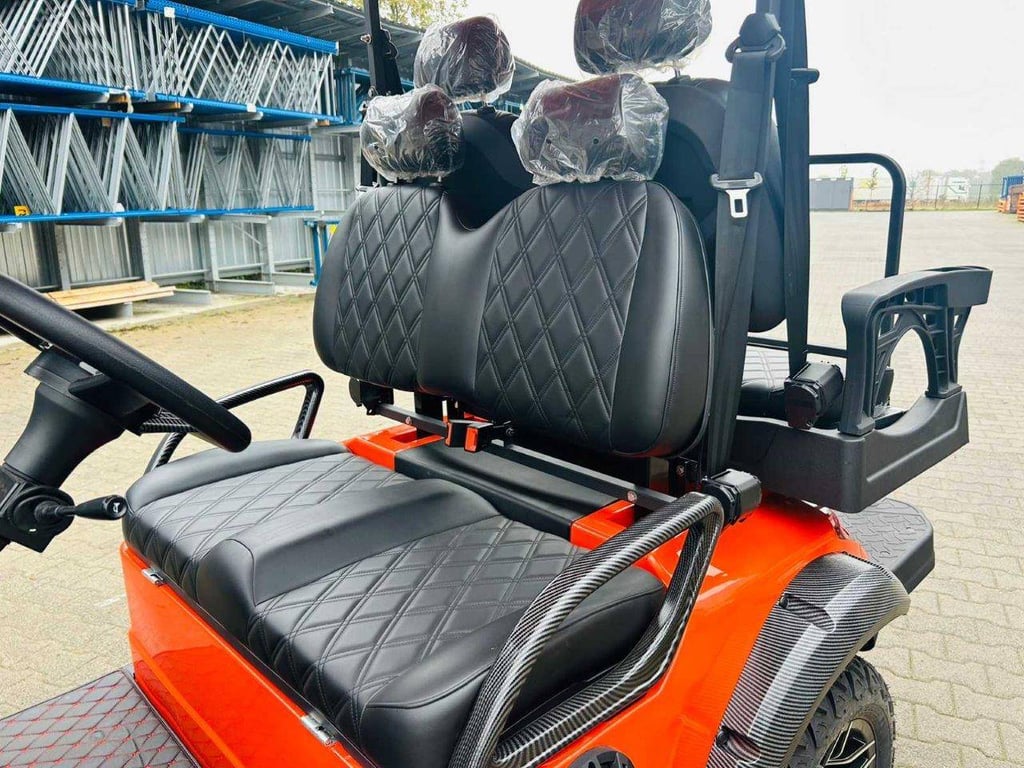 Golf cart RTE Electric 2025 New 2025 RTE 2025 0 image 9