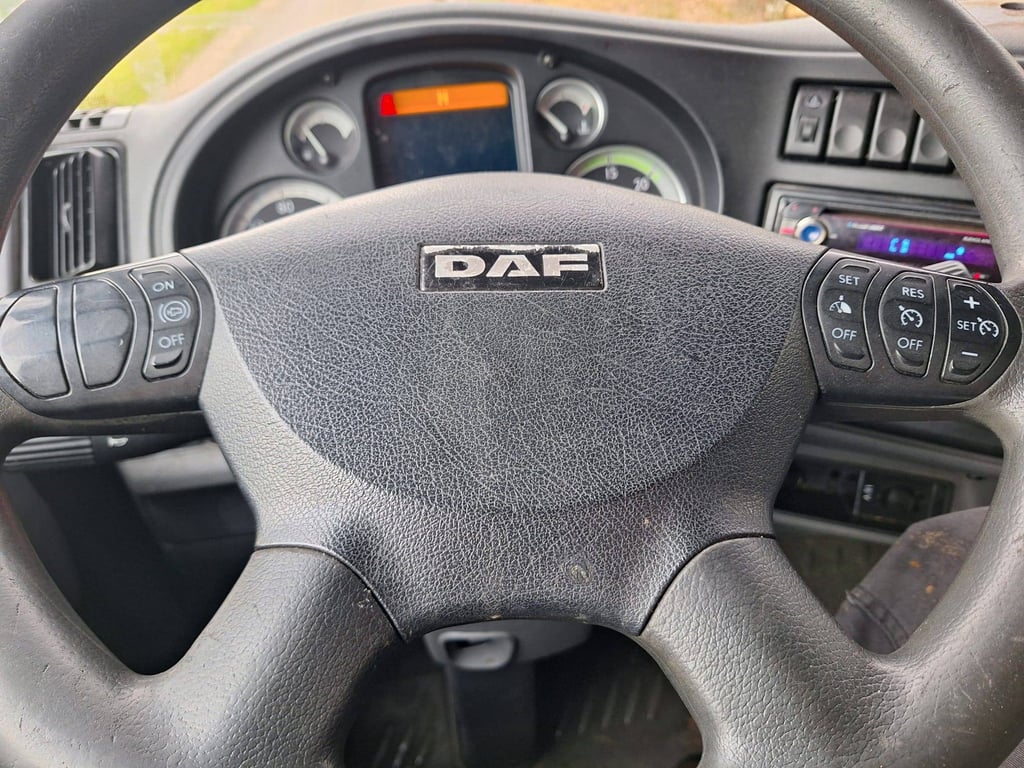 Loading truck DAF LF45-220 Diesel 2009 2009 DAF LF45-220 2009 1 image 10