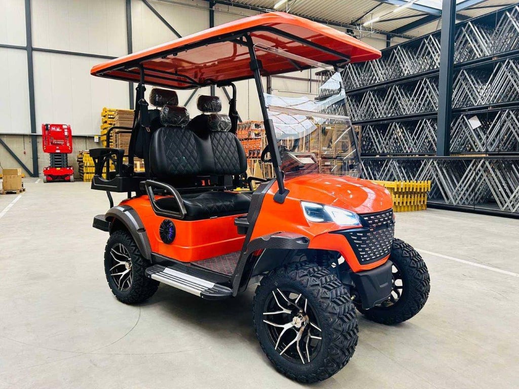 Golf cart RTE Electric 2025 New 2025 RTE 2025 0 image 3