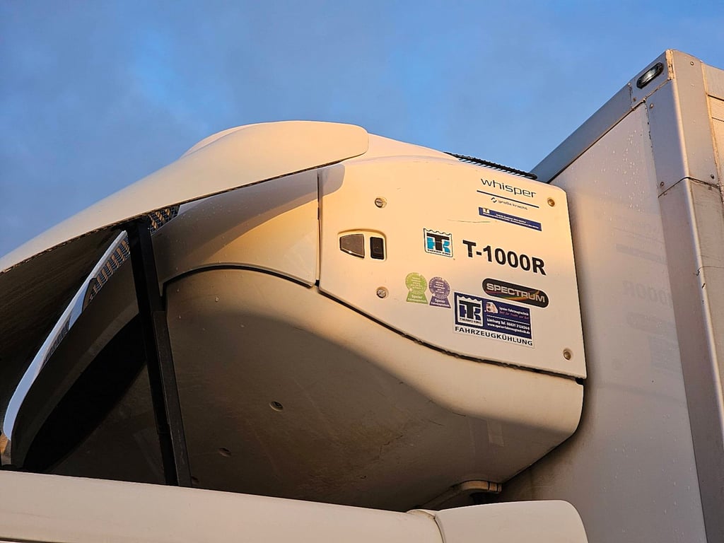 DAF LF 280 16t thermoking lift 2015 DAF LF 280 16T THERMOKING LIFT 2015 1 image 13