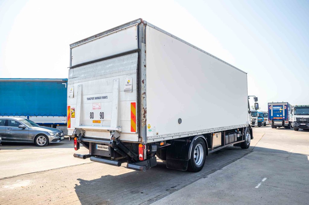 RENAULT MIDLUM 280DXI+POUSSIN/CHICKEN/KUIKEN/KÛKEN 2008 E62062 Renault MIDLUM 280DXI+POUSSIN/CHICKEN/KUIKEN/KÛKEN 2008 1 i...