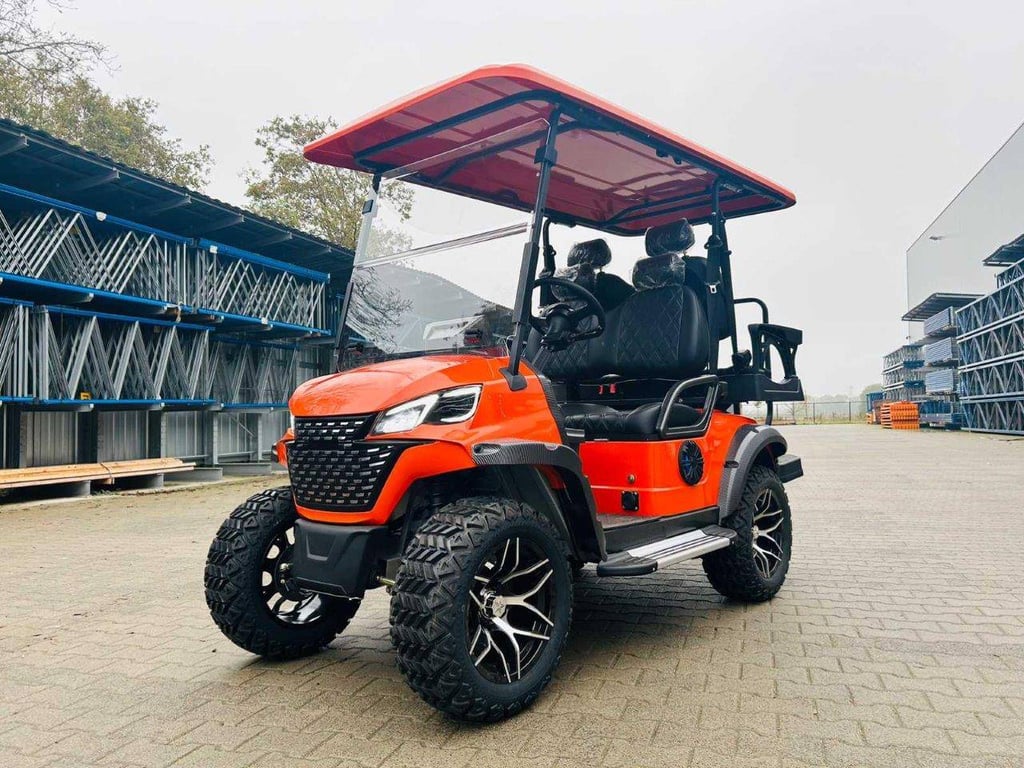 Golf cart RTE Electric 2025 New 2025 RTE 2025 0 image 11