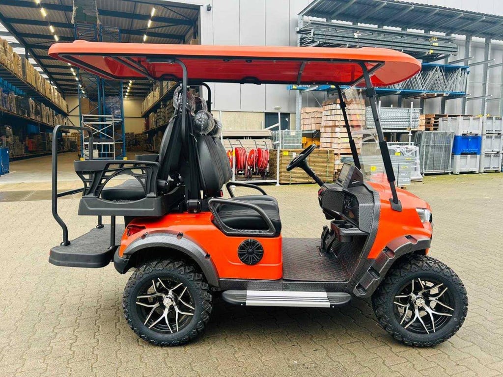 Golf cart RTE Electric 2025 New 2025 RTE 2025 0 image 2