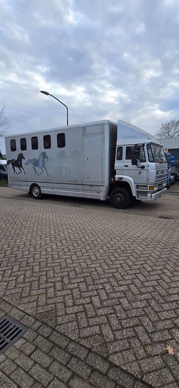 Horse trailer DAF AE64NT Diesel 158 hp 1990 1990 AE64NT 1990 1 image 2