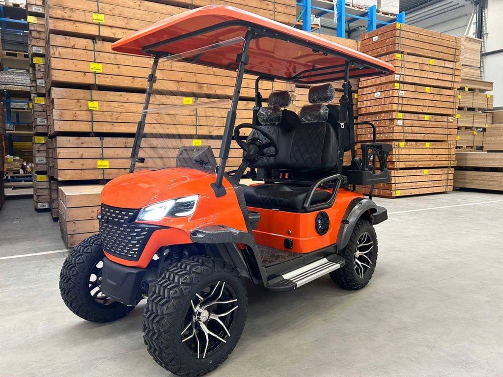 Golf cart RTE Electric 2025 New 2025 RTE 2025 0 image 4