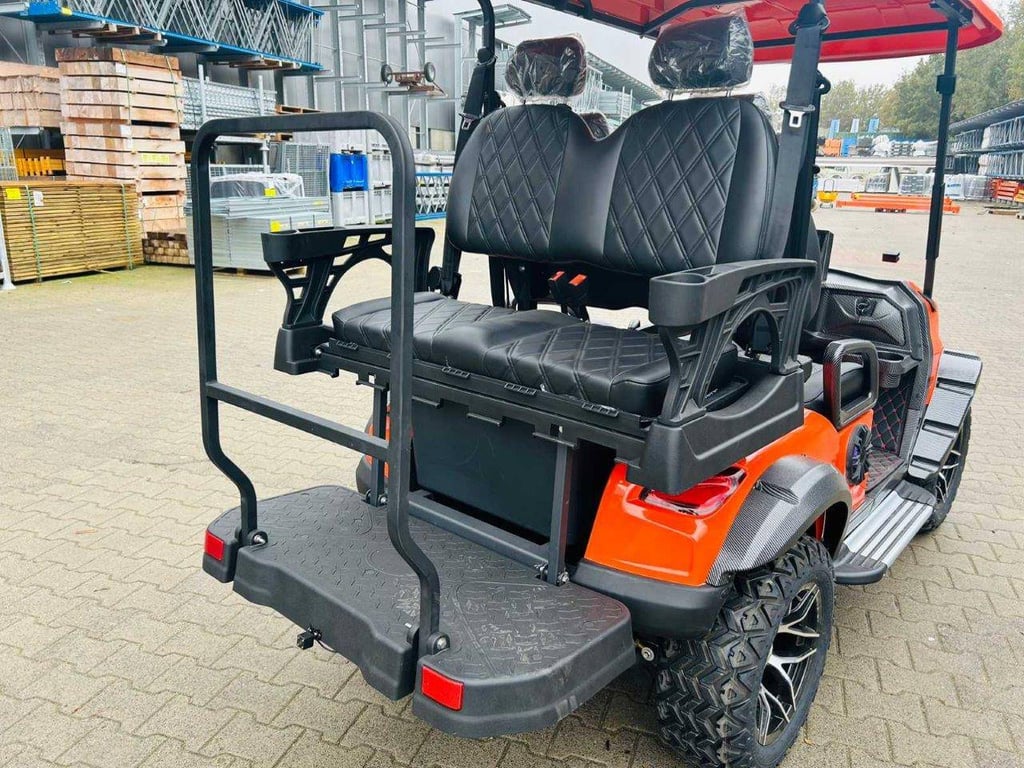Golf cart RTE Electric 2025 New 2025 RTE 2025 0 image 8