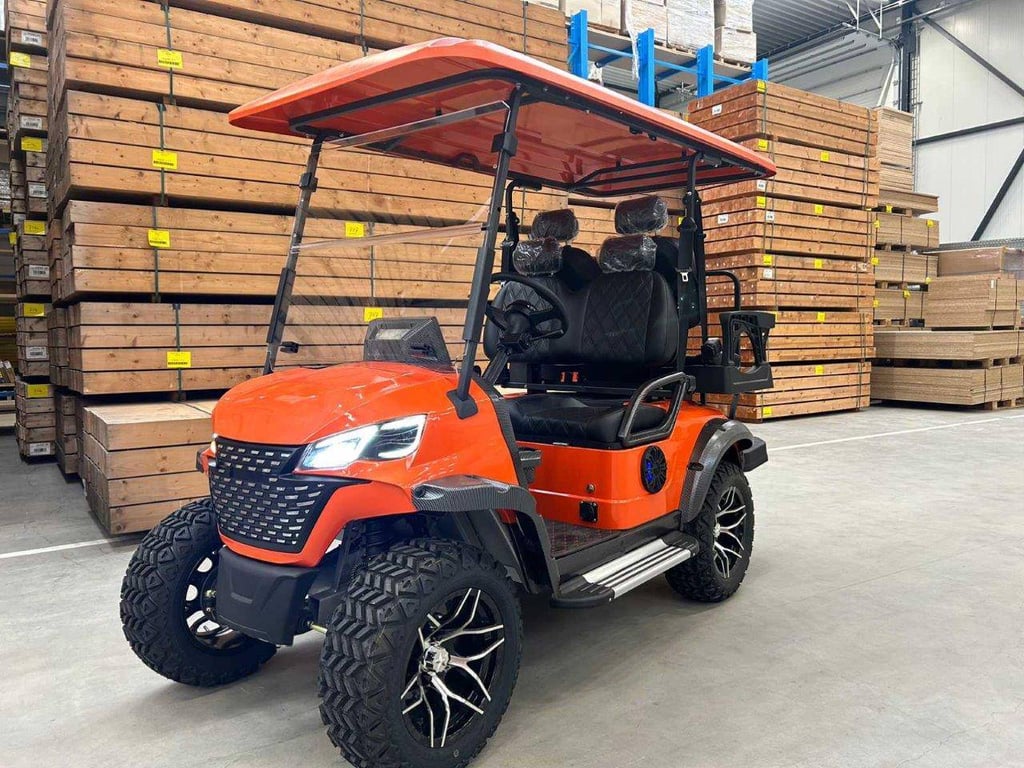 Golf cart RTE Electric 2025 New 2025 RTE 2025 0 image 14