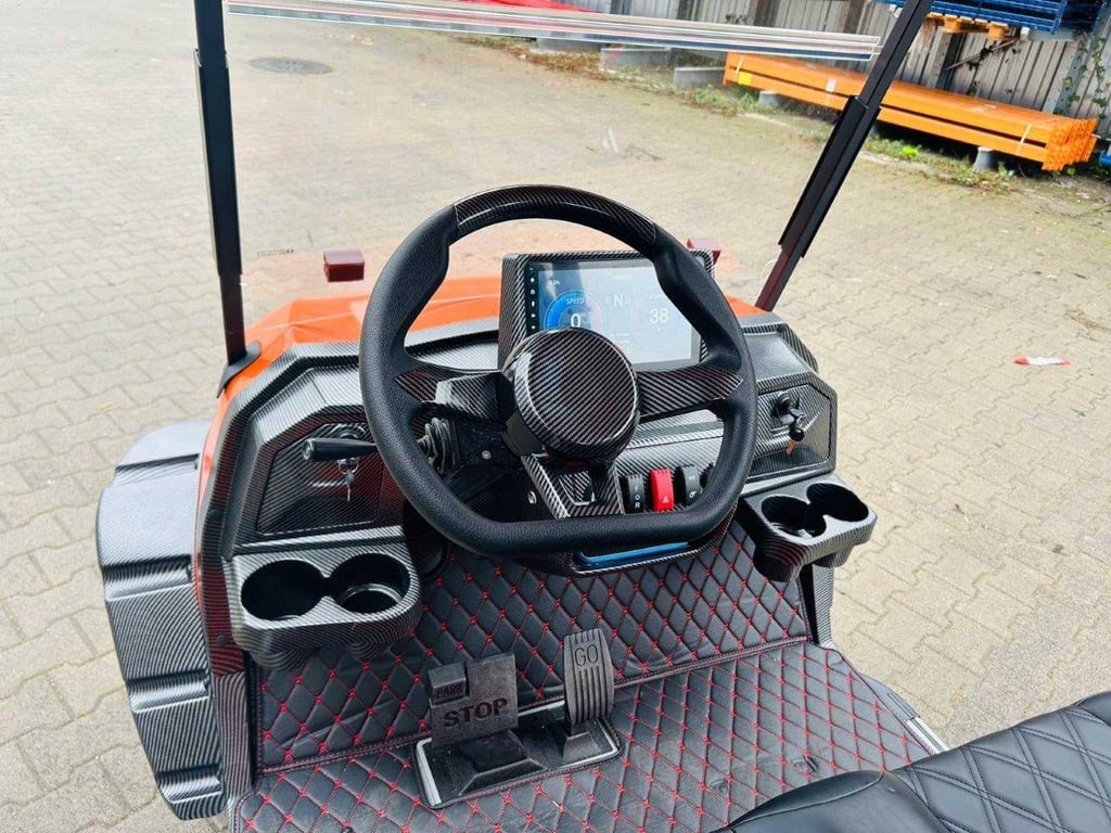 Golf cart RTE Electric 2025 New 2025 RTE 2025 0 image 6