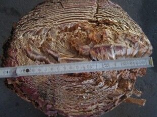 Bomenschaar NN0180 Bomenschaar 0 image 9