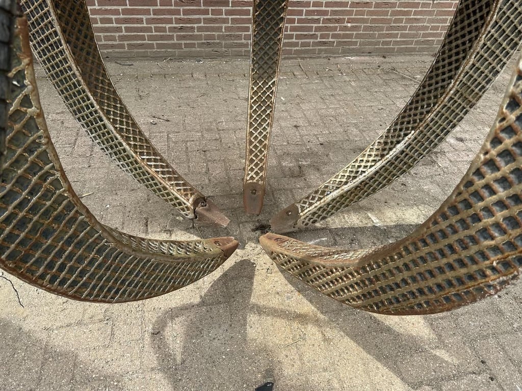 Poliepgrijper - Gebruikt 12721 Poliepgrijper - Gebruikt 1 image 8