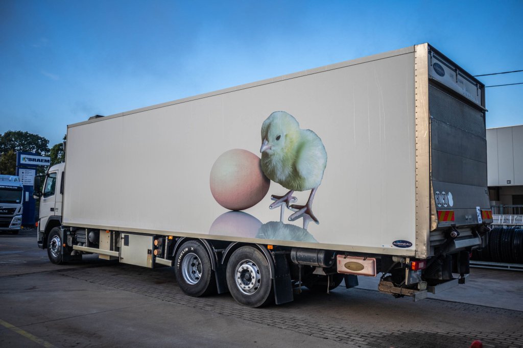 VOLVO FM340+POUSSIN/CHICKEN/KUIKEN/KÛKEN 2007 E62544 FM340+POUSSIN/CHICKEN/KUIKEN/KÛKEN 2007 1 image 4
