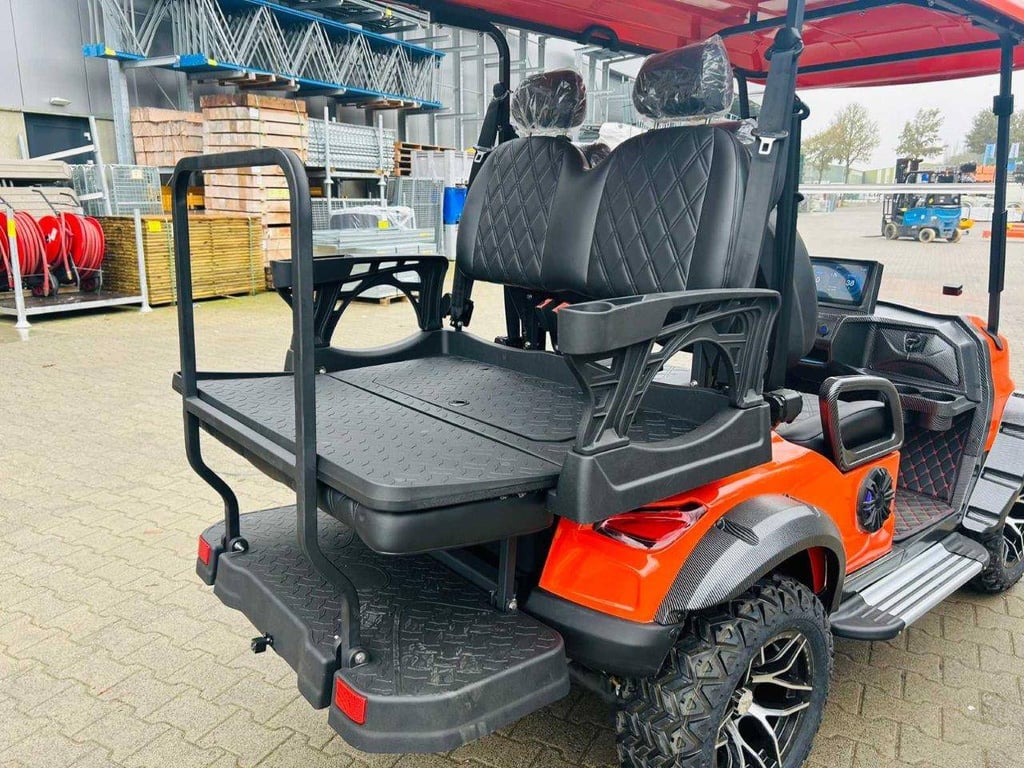Golf cart RTE Electric 2025 New 2025 RTE 2025 0 image 5