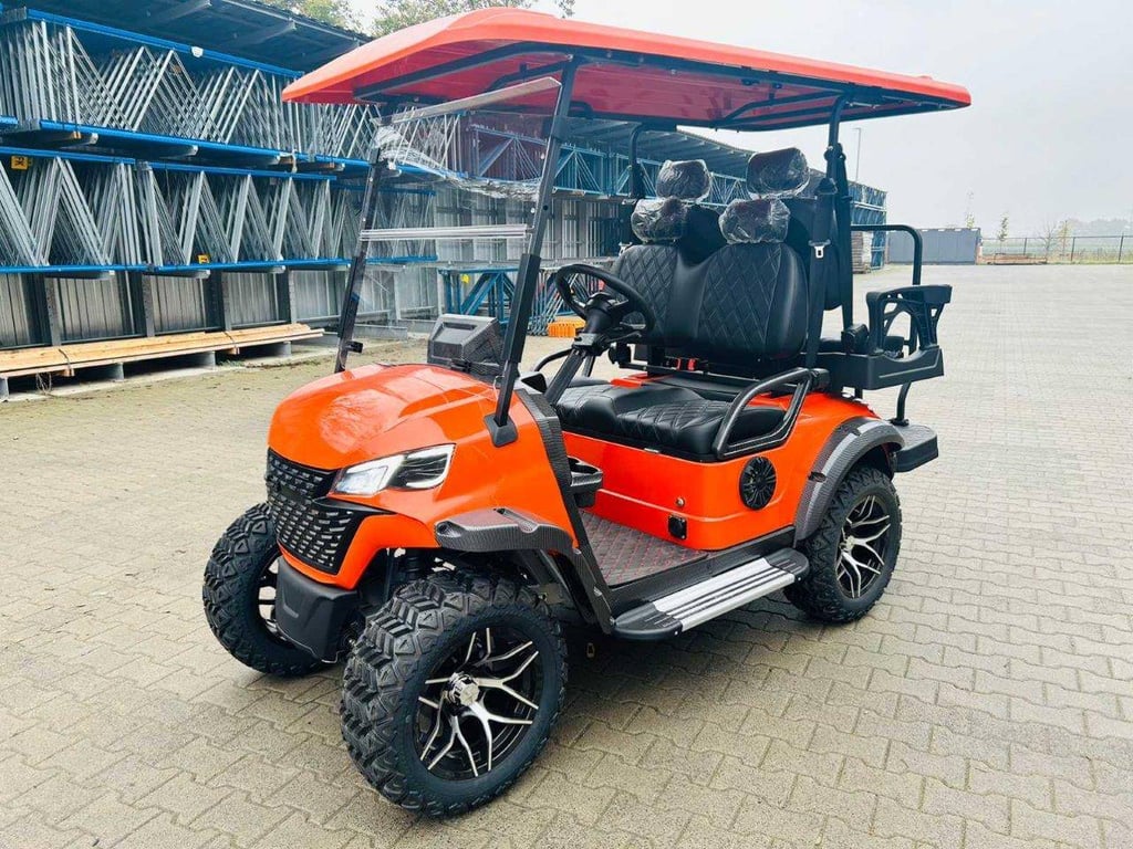 Golf cart RTE Electric 2025 New 2025 RTE 2025 0 image 10