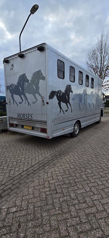 Horse trailer DAF AE64NT Diesel 158 hp 1990 1990 AE64NT 1990 1 image 5