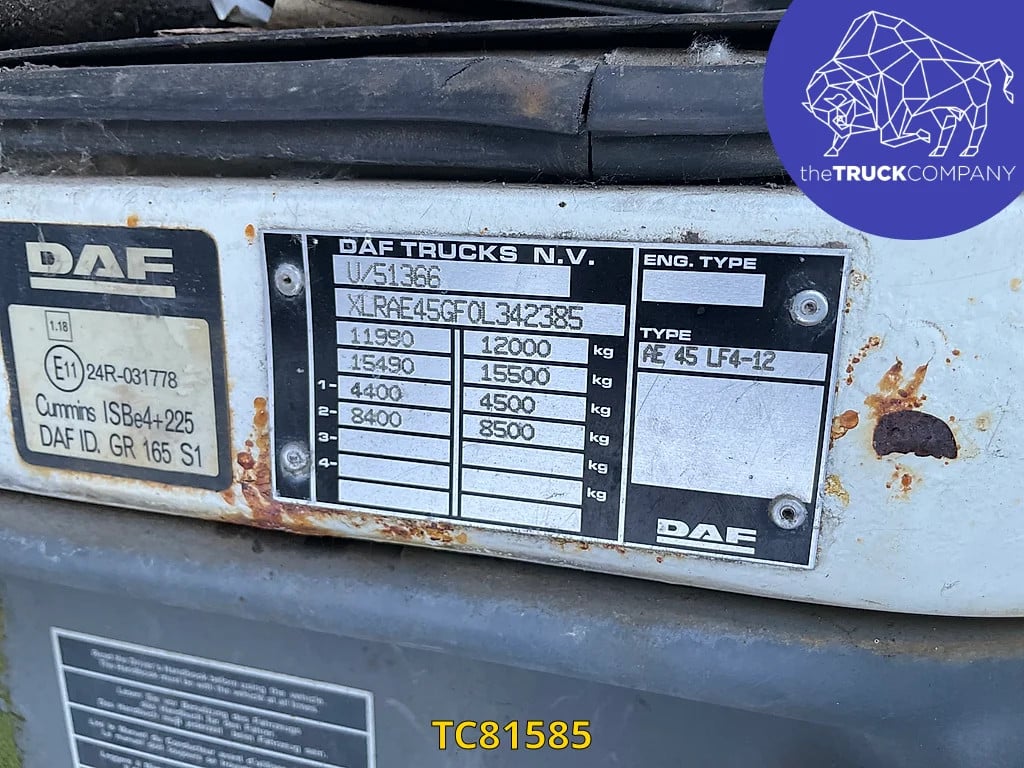 DAF LF TC81585 DAF LF 1 image 12