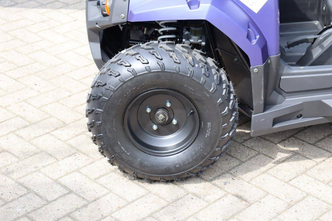 Gator Wextreme UTV-ATV200 Pro Petrol 13hp 2024 New 2024 Wextrem UTV-ATV 200Pro 2024 0 image 14