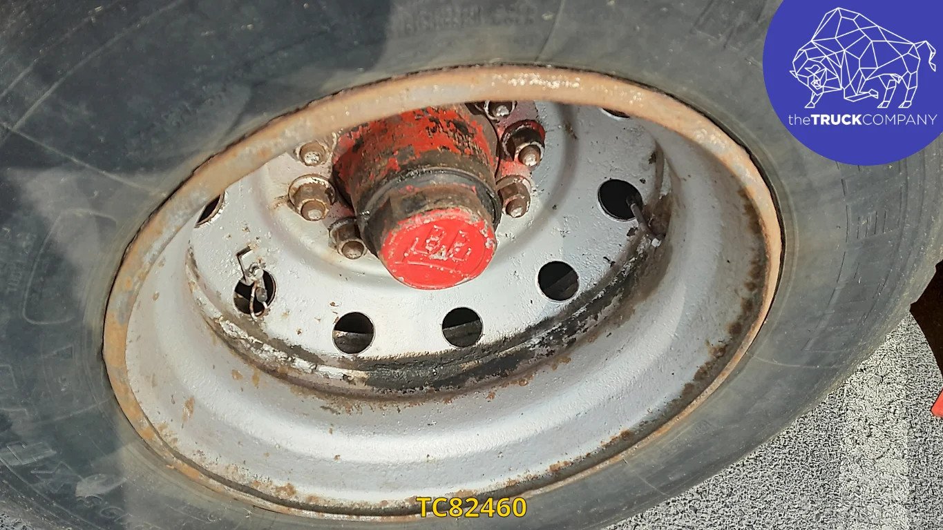 Gheysen & Verpoort Animal Transport 1986 TC82460 GHEYSEN & VERPOORT 1986 1 image 13