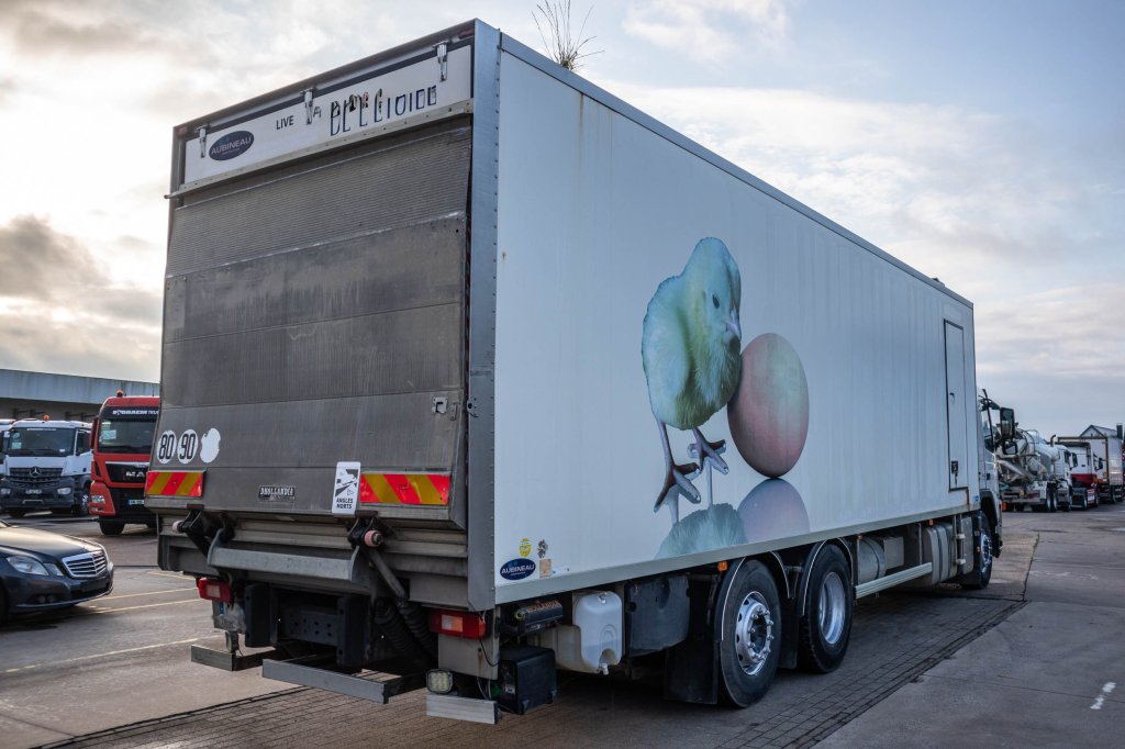VOLVO FM340+POUSSIN/CHICKEN/KUIKEN/KÛKEN 2007 E62544 FM340+POUSSIN/CHICKEN/KUIKEN/KÛKEN 2007 1 image 3