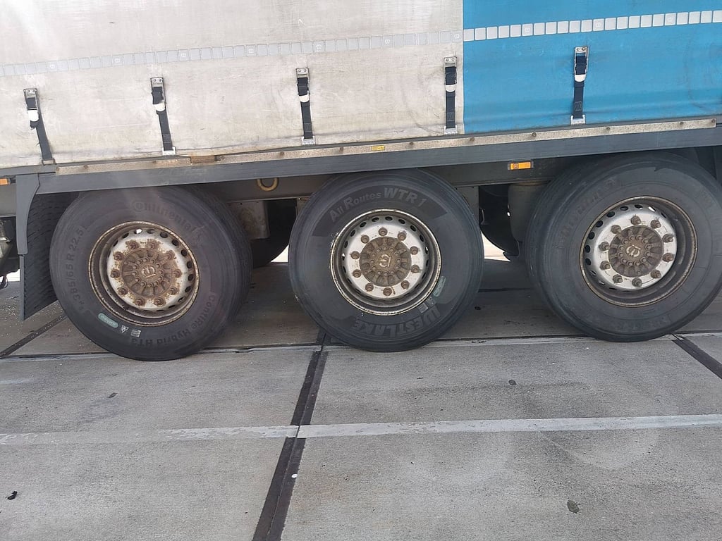 KRONE SDP 02 bär 2 tons taillift 2017 SDP 02 BÄR 2 TONS TAILLIFT 2017 1 image 10