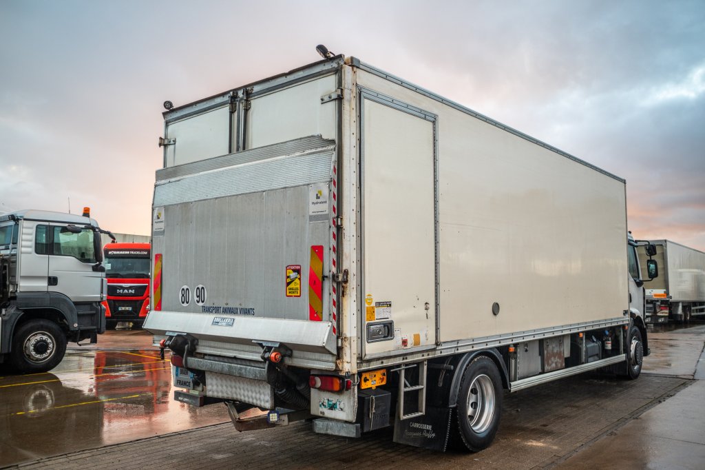 RENAULT PREMIUM 300DXI+POUSSIN/CHICKEN/KUIKEN/KÛKEN+DHOLLANDIA 2013 E60916 Renault PREMIUM 300DXI+POUSSIN/CHICKEN/KUIKEN/K...