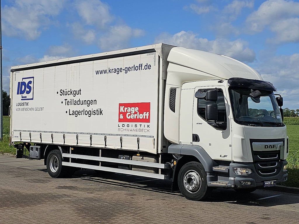 DAF LF 290 16t taillift airco 2021 DAF LF 290 16T TAILLIFT AIRCO 2021 1 image 5