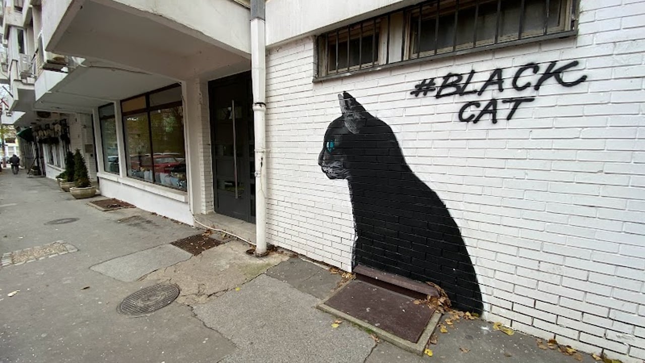 Black Cat