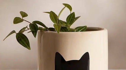 Мастер-класс по керамике на гончарном круге