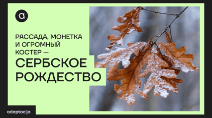 Seedlings, a Coin, and a Huge Bonfire — Serbian Christmas