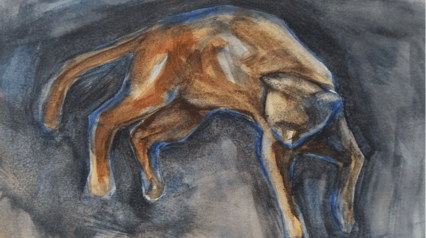 Crtanje mačke: anatomija i pokret