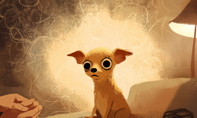 Event poster: Anxious doggies: where do they come from and how to help them?