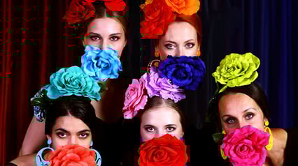 Flamenco Show