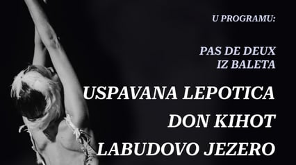 Ballet gala concert