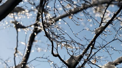 Planinarenje od vrhova Homolja do termi - Ždrelo