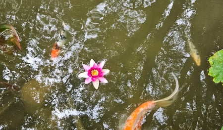 Aktivität im Botanischen Garten für die Gruppe