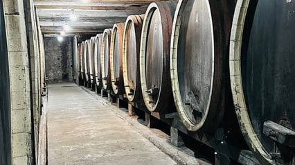 Šumadija - Royal and Gastronomic! New Year's Excursion