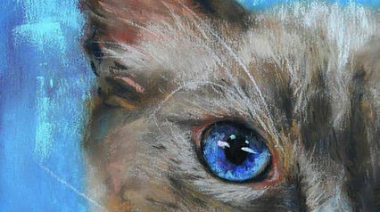 Immersion into the world of pastel