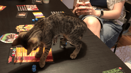 Board game evening at Purrmačka