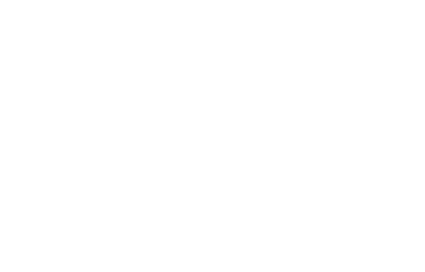 Surrey-i Logo