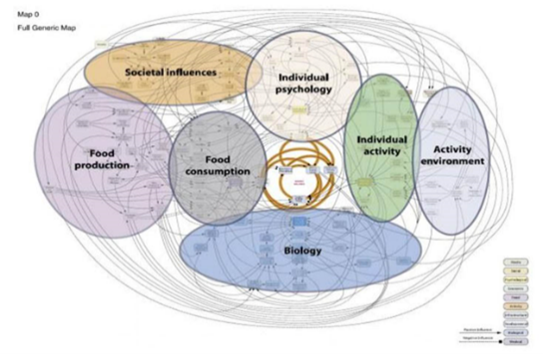 The causes and drivers of obesity are complex and interlinked and include societal influences, food production, individual psychology, food consumption, biology, individual activity and activity environment.