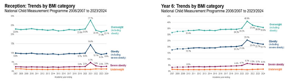 Trends by BMI category in England for both reception and Year 6. Chart C shows trends by BMI category for reception children in England from 2006 to 2024. Data is from the National Child Measurement Programme. Overall figures for those overweight or obese have remained at around the same level, although percentages  of overweight, obese and severely obese are showing signs of increasing in recent years. 2020/21 obesity and overweight percentage showed a marked increase for that year. Total percentages for overweight including obesity were 22.9% in 2007/8 and 22.1% in 23/24.
Chart B shows trends by BMI category for Year 6 children in England from 2007 to 2024. Data is from the National Child Measurement Programme. Overall figures for those overweight or obese have remained at around the same level, although percentages  of overweight, obese and severely obese increased sharply in 2020/21 - a downward trend is now being seen in those figures. Total figures for overweight including obesity were around 32% in 2007/8 and over 35% in 23/24. Percentages for all categories are higher in England than the South East.