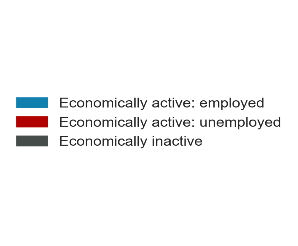 Key to the above graph. Blue represents economically active: employed. Red represents economically active: unemployed. Grey represents economically inactive.