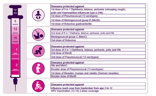 An infographic image for the vaccination programme for children and young people which has five sections. Section one states the diseases protected against for those who are eight weeks old which includes 1st dose of 5 in 1 Diphtheria, tetanus, pertussis (whooping cough), polio and Haemophilus influenzae type b (hib), 1st dose of Pneumococcal (13 serotypes), 1st dose of meningococcal group B (MenB) and 1st of Rotavirus gastroenteritis. Section two states the diseases protected against for those who are twelve weeks old which includes 2nd dose of 5 in 1 Diphtheria, tetanus, pertussis, polio and Hib. Meningococcal group C (MenC). 2nd dose of rotavirus. Section three states the diseases protected against for those who are sixteen weeks old which includes 3rd dose of 5 in 1 Diphtheria, tetanus, pertussis, polio and Hib. 2nd dose of MenB. 2nd dose of Pneumococcal (13 serotypes). Section four states the diseases protected against for those aged one years old which includes Hib and MenC. Booster dose of Pneumococcal (13 serotypes). 1st dose of Measles, mumps and rubella (German measles). Booster dose of Men B. Section five states the diseases protected against for those starting at two years old which includes Influenza (each year from September from age 2 to 12. HPV Vaccination (12-14) 2-dose coverage.