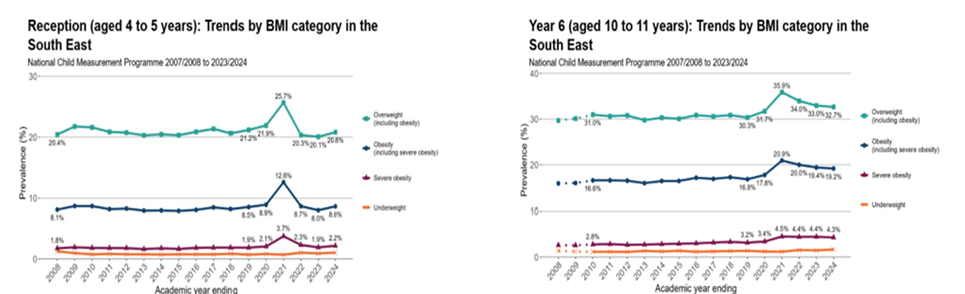 Trends by BMI category in the South East for both reception and Year 6. Chart A shows trends by BMI category for reception children in the South East from 2008 to 2024. Data is from the National Child Measurement Programme. Overall figures for those overweight or obese have remained at around the same level, although percentages  of overweight, obese and severely obese are showing signs of increasing in recent years. 2020/21 obesity and overweight percentage showed a marked increase for that year. Total percentages for overwight including obesity were 20.4% in 2008/9 and 20.8% in 23/24.
Chart B shows trends by BMI category for Year 6 children in the South East from 2008 to 2024. Data is from the National Child Measurement Programme. Overall figures for those overweight or obese have remained at around the same level, although percentages  of overweight, obese and severely obese increased sharply in 2020/21 - a downward trend is now being seen in those figures. Total figures for overweight including obesity were around 30% in 2008/9 and nearly 33% in 23/24. Percentages for all categories are higher in England than the South East.